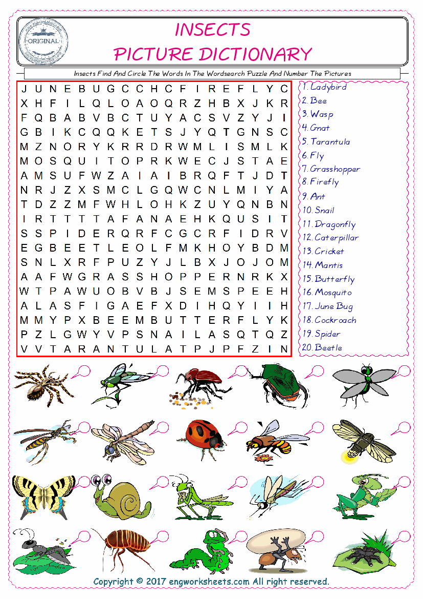  ESL wordsearch worksheets for kids, find Insects words in the word wordsearch write its number on its picture English worksheet. 
